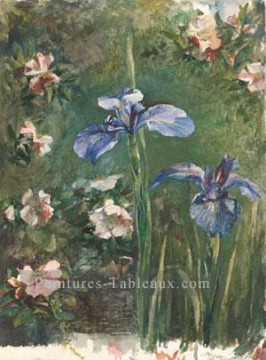 Roses sauvages et iris fleur John LaFarge Peinture à l'huile